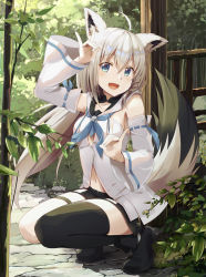 Rule 34 | 1girl, ahoge, animal ears, arm up, black thighhighs, blue eyes, blush, breasts, commentary request, detached sleeves, double fox shadow puppet, fang, fox ears, fox shadow puppet, fox tail, highres, hololive, long hair, looking at viewer, mawaru33, medium breasts, navel, open mouth, plant, ribbon-trimmed sleeves, ribbon trim, shirakami fubuki, shirakami fubuki (1st costume), shorts, single thighhigh, smile, solo, squatting, tail, thighhighs, virtual youtuber, white hair