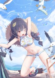 Rule 34 | 1girl, absurdres, ahoge, arm up, armpits, bare shoulders, bikini, bird, black footwear, black hair, blue archive, blue sky, blush, breasts, brown hat, chinese commentary, commentary request, coral, crocs, grey halo, groin, halo, hat, hat on back, highres, kneeling, leaf print, miyu (blue archive), miyu (swimsuit) (blue archive), navel, official alternate costume, one eye closed, open mouth, outdoors, petite, print bikini, red eyes, sky, small breasts, solo, starfish, straw hat, swimsuit, t-hou, white bikini