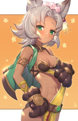 Rule 34 | 1girl, animal ears, animal hands, bare shoulders, black gloves, blush, breasts, brown background, cape, commentary request, dark-skinned female, dark skin, erune, female focus, floral background, flower, forehead, gloves, granblue fantasy, green cape, green eyes, grey hair, hair flower, hair ornament, highres, looking at viewer, medium breasts, melleau, navel, parted bangs, parted lips, paw gloves, pink flower, solo, two-tone background, uneg, white background