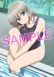 Rule 34 | 1girl, alternate hair length, alternate hairstyle, black one-piece swimsuit, blue eyes, breasts, cleavage, competition swimsuit, fence, grey hair, head tilt, highres, knees up, large breasts, looking at viewer, medium hair, official art, one-piece swimsuit, own hands together, partially submerged, pool, sample watermark, shiny skin, short hair, sitting, smile, solo, swimsuit, uzaki-chan wa asobitai!, uzaki hana, water, watermark