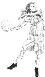 Rule 34 | adidas, androgynous, ball, basketball, basketball (object), gender request, greyscale, monochrome, nakamura ching, ponytail, shoes, sneakers, solo, sportswear, tagme