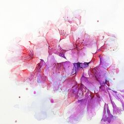 Rule 34 | artworksmil, flower, no humans, original, painting (medium), plant, purple flower, realistic, still life, traditional media, watercolor (medium), white background