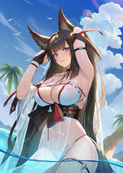 1girl absurdres amagi_(azur_lane) amagi_(wending_waters_serene_lotus)_(azur_lane) animal_ears armpits azur_lane bare_shoulders bikini bird blue_sky blush breasts brown_hair cleavage closed_mouth cloud collarbone covered_navel feet_out_of_frame from_below hands_in_hair highres large_breasts long_hair looking_at_viewer official_alternate_costume on_water purple_eyes sky solo standing swimsuit thighs water wet white_bikini yun_(user367624)