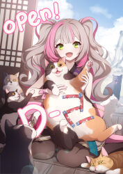 Rule 34 | 1girl, absurdres, animal hands, blunt bangs, blush, cat, countdown, eversoul, green eyes, grey hair, hair ribbon, highres, jiho (eversoul), korean clothes, korean commentary, multicolored hair, nail polish, official art, open mouth, pet food, promotional art, ribbon, sidelocks, sitting, thighhighs, twintails, two-tone hair, wariza
