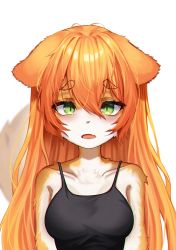 Rule 34 | 1girl, absurdres, animal ears, bee ho00, black camisole, body fur, breasts, camisole, dog ears, dog girl, fang, furry, furry female, green eyes, highres, medium breasts, open mouth, orange fur, original, portrait, short eyebrows, skin fang, solo, straight-on, white fur