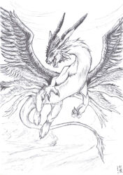 Rule 34 | digimon, digimon (creature), dragon, holydramon, horns, sharp teeth, solo, teeth, wings