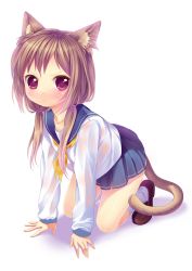 Rule 34 | 1girl, all fours, animal ears, blush, brown hair, caidychen, cat ears, cat tail, child, highres, kneeling, long hair, looking at viewer, namori, pink eyes, school uniform, simple background, skirt, solo, tail, white background