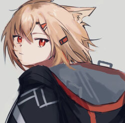 Rule 34 | 1girl, animal ear fluff, animal ears, arknights, brown hair, closed mouth, from side, grey background, hair between eyes, hair ornament, hairclip, hood, hood down, inu to milk, looking at viewer, looking to the side, notched ear, red eyes, simple background, solo, vermeil (arknights)