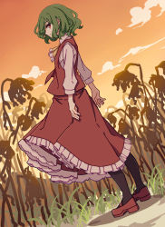 Rule 34 | 1girl, absurdres, ascot, brown flower, brown pantyhose, closed mouth, cloud, cloudy sky, collared shirt, commentary request, flower, frilled skirt, frills, from side, full body, gradient sky, grass, green hair, grey shirt, hair between eyes, highres, kame (kamepan44231), kazami yuuka, long sleeves, looking at viewer, open clothes, open vest, orange sky, pantyhose, puffy long sleeves, puffy sleeves, red eyes, red footwear, red skirt, red vest, shadow, shirt, shoes, short hair, skirt, sky, solo, standing, sunset, touhou, vest, yellow ascot, yellow sky
