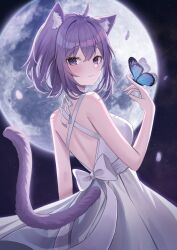 Rule 34 | 1girl, absurdres, ahoge, alternate costume, animal ears, backless dress, backless outfit, backlighting, bare arms, bare shoulders, breasts, bug, butterfly, cat ears, cat tail, choker, closed mouth, clothing cutout, dress, from behind, full moon, hand up, highres, hololive, insect, looking back, median furrow, medium breasts, moon, nannung, nekomata okayu, purple eyes, purple hair, ribbon choker, sky, sleeveless, sleeveless dress, smile, solo, star (sky), starry sky, sundress, tail, tail through clothes, upper body, virtual youtuber, white choker, white dress
