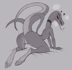 Rule 34 | 1girl, all fours, anus, ass, blush, choker, claws, creatures (company), digitigrade, female focus, from behind, furry, furry female, game freak, gen 7 pokemon, greyscale, heart, highres, long tongue, looking back, monochrome, naughty face, nintendo, on bed, open mouth, pokemon, pokemon (creature), pussy, salazzle, solo, tongue, tongue out, uncensored, wagadraws