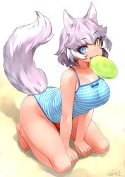 Rule 34 | 1girl, animal ears, barefoot, blue eyes, blue one-piece swimsuit, breasts, commentary request, dated, dog (mixed breed) (kemono friends), dog ears, dog tail, fang, frisbee, grey hair, happa (cloverppd), heterochromia, kemono friends, large breasts, looking at viewer, mouth hold, multicolored hair, one-piece swimsuit, short hair, solo, striped clothes, striped one-piece swimsuit, swimsuit, tail, two-tone hair, white hair, yellow eyes
