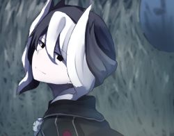 Rule 34 | 1girl, absurdres, bad id, bad twitter id, black hair, black jacket, closed mouth, commentary request, hair between eyes, head tilt, highres, horns, jacket, looking at viewer, looking to the side, made in abyss, multicolored hair, ozen, pale skin, portrait, short hair, smile, solo, two-tone hair, wada kazu, white hair