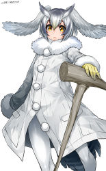 Rule 34 | 10s, :&lt;, blush, cane, coat, fur collar, gloves, grey hair, happa (cloverppd), head wings, highres, kemono friends, long sleeves, looking at viewer, multicolored hair, multiple girls, northern white-faced owl (kemono friends), pantyhose, short hair, standing, white hair, wings