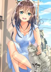 Rule 34 | 1girl, :d, absurdres, blue dress, blue eyes, blush, breasts, brown hair, cat, cat day, cleavage, collarbone, dress, grey cat, highres, long hair, looking at viewer, medium breasts, open mouth, original, outdoors, power lines, sena (illust sena), sleeveless, sleeveless dress, smile, solo, squatting