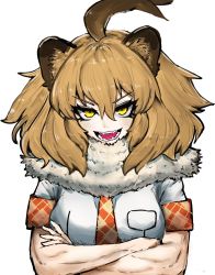 Rule 34 | 1girl, :d, adeshi (adeshi0693119), ahoge, animal ears, blonde hair, breast pocket, commentary request, crossed arms, fangs, fur collar, highres, kemono friends, lion (kemono friends), lion ears, lion girl, looking at viewer, muscular, muscular female, necktie, open mouth, plaid necktie, plaid neckwear, plaid trim, pocket, red necktie, sharp teeth, shirt, short hair, short sleeves, sidelocks, smile, solo, teeth, tsurime, upper body, v-shaped eyebrows, white background, white shirt, yellow eyes