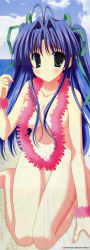 Rule 34 | 1girl, absurdres, beach, blue hair, blush, breasts, censored, cloud, convenient censoring, day, eyebrows, flower necklace, highres, lei, long hair, long image, looking at viewer, navel, non-web source, nude, nudist, outdoors, purple hair, sky, smile, solo, tall image