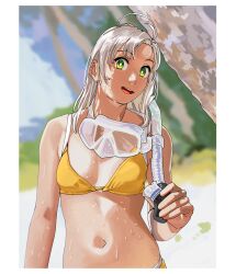 Rule 34 | 1girl, antenna hair, bikini, breasts, diving mask, diving mask around neck, goggles, goggles around neck, green eyes, grey hair, highres, kantai collection, kinugasa (kancolle), long hair, looking at viewer, navel, ojipon, open mouth, outdoors, small breasts, smile, snorkel, solo, stomach, swimsuit, upper body, wet, yellow bikini