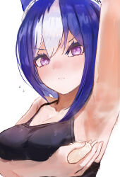 Rule 34 | 1girl, absurdres, alternate costume, animal ears, arm up, armpits, bare shoulders, black sports bra, blue hair, blush, braid, breasts, cesario (umamusume), cleavage, closed mouth, commentary request, crown braid, ear ornament, highres, horse ears, horse girl, looking at viewer, medium breasts, multicolored hair, purple eyes, short hair, simple background, solo, sports bra, streaked hair, sweat, umamusume, upper body, v-shaped eyebrows, white background, white hair, wiping sweat, x 1031 xter
