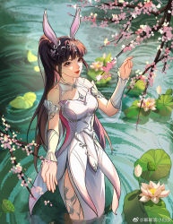 Rule 34 | 1girl, animal ears, branch, brown hair, douluo dalu, dress, flower, from above, hand up, highres, in water, lily pad, mimi di xiao xiannu, outstretched hand, pink dress, ponytail, rabbit ears, smile, solo, upper body, water, xiao wu (douluo dalu)