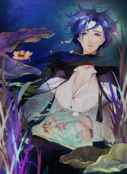 Rule 34 | 1boy, bad id, bad pixiv id, blue eyes, blue hair, blue scarf, collarbone, flower, highres, in water, kaito (vocaloid), looking at viewer, lotus, male focus, matching hair/eyes, nishi (ainshaie), nishi (pixiv791743), partially submerged, petals, scarf, solo, vocaloid, water