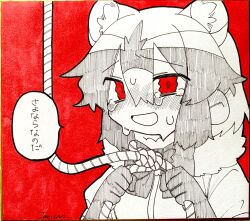 Rule 34 | 1girl, :d, animal ears, bad id, bad twitter id, blush, bow, commentary request, common raccoon (kemono friends), crying, crying with eyes open, fur collar, gloves, hair between eyes, hands up, highres, holding, holding rope, imminent suicide, inactive account, jmeysan, kemono friends, looking at viewer, multicolored hair, noose, nose blush, open mouth, raccoon ears, red background, red eyes, rope, sad smile, shikishi, short hair, short sleeves, smile, solo, speech bubble, tears, traditional media, translation request, upper body