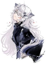Rule 34 | 1girl, animal ears, arknights, black coat, blood, blood on face, blood splatter, closed mouth, coat, commentary, from side, gawako, grey eyes, grey hair, hair ornament, hairclip, highres, lappland (arknights), light smile, long hair, looking at viewer, looking to the side, scar, scar across eye, scar on face, simple background, solo, upper body, white background, wolf ears