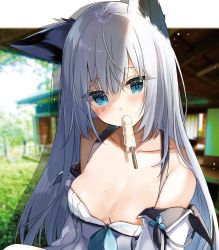 Rule 34 | 1girl, absurdres, animal ear fluff, animal ears, azur lane, blue eyes, blurry, commentary request, day, depth of field, food, fox ears, highres, long hair, looking at viewer, melting, mouth hold, natsuki (ukiwakudasai), outdoors, popsicle, silver hair, solo, upper body, very long hair