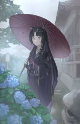 Rule 34 | 1girl, animal ears, arknights, black hair, black kimono, blue flower, brown eyes, closed mouth, commentary, english commentary, flower, highres, holding, holding umbrella, japanese clothes, kimono, long hair, looking at viewer, mixed-language commentary, oil-paper umbrella, outdoors, overcast, parted bangs, plant, rain, saga (arknights), sky, smile, solo, standing, umbrella, weasel (close-to-the-edge)