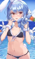 Rule 34 | 1girl, animal ear fluff, animal ears, bikini, black bikini, blue hair, blue sky, blush, breasts, breasts apart, brown eyes, carrot hair ornament, cloud, cowboy shot, day, food-themed hair ornament, frilled bikini, frills, front-tie bikini top, front-tie top, hair ornament, highres, hololive, looking at viewer, multicolored hair, navel, ocean, open mouth, outdoors, purple ribbon, rabbit-shaped pupils, rabbit ears, rabbit girl, rabbit tail, ribbon, shiunnkaku, sky, small breasts, solo, stomach, swimsuit, symbol-shaped pupils, tail, two-tone hair, usada pekora, virtual youtuber, water, white hair, wristband