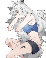 Rule 34 | 1girl, animal ears, arknights, black shorts, blue shirt, closed eyes, clothes pull, commentary request, crop top, extra ears, feet out of frame, grey hair, grey tail, groin, highres, hugging own tail, hugging tail, lappland (arknights), long hair, lying, material growth, messy hair, na tarapisu153, on side, oripathy lesion (arknights), scar, scar across eye, shirt, shorts, shorts pull, simple background, sleeping, solo, tail, white background, wolf ears, wolf girl, wolf tail