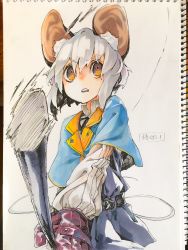 Rule 34 | 1girl, animal ears, belt, black belt, blue capelet, brown eyes, capelet, dress, gloves, grey hair, highres, holding, looking at viewer, mouse ears, mouse tail, nazrin, parted lips, photo (medium), purple dress, red gloves, reiga (act000), solo, tail, touhou, traditional media, wide-eyed