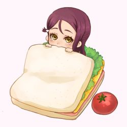 Rule 34 | 1girl, beniko08, commentary, food, hair ornament, hairclip, half updo, highres, in food, lettuce, looking at viewer, love live!, love live! sunshine!!, mini person, minigirl, pink background, red hair, sakurauchi riko, sandwich, simple background, solo, tomato, yellow eyes