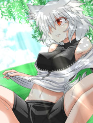 Rule 34 | 1girl, against tree, animal ears, bad id, bad pixiv id, bare shoulders, breasts, casual, dappled sunlight, day, covered erect nipples, inubashiri momiji, large breasts, looking away, midriff, navel, red eyes, short hair, shorts, silver hair, sitting, skin tight, sky, solo, sports bra, spread legs, sumiya nadateru, sunlight, tail, touhou, tree, underwear, wolf ears, wolf tail