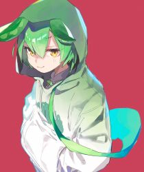 Rule 34 | 1girl, :3, closed mouth, commentary, gradient clothes, green hair, green hoodie, hair between eyes, hands in pockets, hitogome, hood, hood up, hoodie, long sleeves, looking at viewer, red background, short hair with long locks, smile, solo, upper body, voicevox, white hoodie, yellow eyes, zundamon