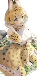 Rule 34 | 1girl, absurdres, animal ear fluff, animal ears, animal ears (norankkori), blonde hair, blush, bow, bowtie, breasts, bug, butterfly, elbow gloves, fang, gloves, grass, highres, insect, kemono friends, large breasts, looking at viewer, serval (kemono friends), serval print, shirt, sitting, skin fang, skirt, sleeveless, sleeveless shirt, solo, swallowtail butterfly, sweatdrop, tail, thighhighs, wariza, yellow gloves, yellow skirt, yellow thighhighs