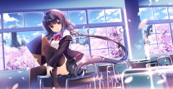Rule 34 | 1girl, backlighting, black footwear, black hair, black jacket, black skirt, black thighhighs, blazer, blue sky, blurry, bow, bowtie, breasts, brown eyes, building, chair, cherry blossoms, city, cityscape, classroom, cloud, collared shirt, commentary request, day, depth of field, desk, diffraction spikes, dutch angle, floating hair, hakoniwa oukoku no souzoushu-sama, head tilt, highres, holding, indoors, jacket, knee up, lens flare, loafers, long hair, long sleeves, looking at viewer, medium breasts, miniskirt, nanamomo rio, notebook, off shoulder, open clothes, open jacket, parted lips, petals, pleated skirt, red bow, red bowtie, school chair, school desk, school uniform, shirt, shoes, sitting, sitting on table, skirt, sky, skyscraper, sleeves past wrists, solo, sunlight, thighhighs, tree, very long hair, white shirt, wide shot, window