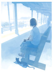 Rule 34 | 1girl, bench, blue theme, border, camera, cat, from behind, highres, md5 mismatch, namito, original, resolution mismatch, short hair, short sleeves, sitting, skirt, solo, source larger