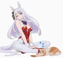 Rule 34 | 1girl, absurdres, animal, animal ears, breasts, closed mouth, commentary, detached collar, ear ornament, english commentary, gold ship (umamusume), grey hair, highres, horse ears, horse girl, horse tail, indian style, leotard, long hair, medium breasts, nontraditional playboy bunny, one eye closed, pantyhose, purple eyes, rabbit, red footwear, red leotard, sarcophage, shoes, simple background, sitting, solo, strapless, strapless leotard, tail, umamusume, white background, white pantyhose, wrist cuffs, zzz