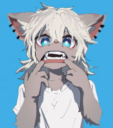Rule 34 | 1boy, blue background, blue eyes, bright pupils, ddu (ddu open), ear piercing, fang, furry, furry male, highres, looking at viewer, male focus, mouth pull, original, piercing, shirt, simple background, solo, teeth, upper body, white hair, white pupils, white shirt
