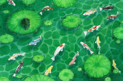 Rule 34 | artist name, caustics, dated, day, fish, frog, from above, highres, koi, lily pad, no humans, original, outdoors, painting (medium), scenery, traditional media, water, watercolor (medium), wilvogel