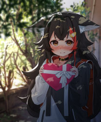 Rule 34 | 1girl, animal ear fluff, animal ears, black choker, black hair, blurry, blurry background, blush, box, brown eyes, choker, closed mouth, commentary request, daichi (daichi catcat), gift, gift box, hair ornament, hairclip, heart-shaped box, highres, holding, holding box, hololive, long sleeves, multicolored hair, nose blush, ookami mio, ookami mio (casual), outdoors, red hair, ribbon, smile, solo, streaked hair, two-tone hoodie, virtual youtuber, white ribbon, wolf ears