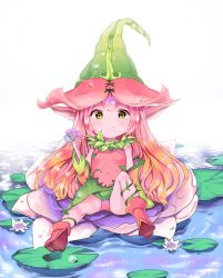 Rule 34 | 1girl, alternate costume, animal ears, bad id, bad twitter id, blonde hair, boots, colored skin, commentary request, dew drop, flower, gradient hair, green eyes, hat, highres, holding, holding flower, korean text, leaf, league of legends, lily pad, long hair, looking at viewer, lotus, lulu (league of legends), multicolored hair, panties, pantyshot, panza, pink skin, plant, pointy footwear, purple hair, red hair, shoes, signature, sitting, solo, sparkle, twitter username, underwear, vines, water, water drop, yordle