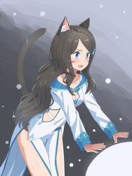Rule 34 | 1girl, absurdres, aina (mao lian), animal ear fluff, animal ears, black hair, blue eyes, blush, breasts, brown hair, cat ears, cat tail, cleavage, cleavage cutout, clothing cutout, dress, fish hair ornament, from side, hair ornament, hairclip, highres, long hair, long sleeves, mao lian (nekokao), medium breasts, open mouth, original, outstretched arms, pelvic curtain, solo, standing, tail, tail raised, teeth, upper teeth only, very long hair, white dress