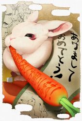 akeome animal carrot chinese_zodiac commentary english_commentary happy_new_year highres kotoyoro meziro001 mouth_hold new_year no_humans original rabbit scroll shide translation_request year_of_the_rabbit