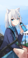 Rule 34 | 1girl, animal ears, bag, black skirt, blue archive, blue eyes, blue scarf, blurry, bottle, cat ears, cross hair ornament, depth of field, extra ears, female focus, hair ornament, halo, highres, holding, holding bottle, huhi (huhi 1211), id card, lamppost, looking at viewer, plaid, plaid vest, pleated skirt, scarf, school bag, school uniform, shiroko (blue archive), skirt, solo, sweat, vest, white hair