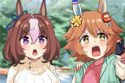 Rule 34 | + +, 2girls, @ @, ahoge, blue ribbon, brown hair, clover hair ornament, commentary request, daruma doll, day, hair between eyes, hair ornament, hair ribbon, hand on shoulder, holding, holding phone, long sleeves, looking at viewer, matikanefukukitaru (umamusume), meisho doto (umamusume), multicolored hair, multiple girls, open mouth, orange hair, outdoors, phone, pointing, purple eyes, red shirt, ribbed sweater, ribbon, shirt, short hair, streaked hair, surprised, sweater, tenten (chan4545), triangle mouth, turtleneck, turtleneck sweater, two-tone hair, umamusume, v-shaped eyebrows, white sweater, wide-eyed, yellow eyes