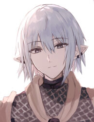 Rule 34 | 1boy, armor, chainmail, closed mouth, ear piercing, final fantasy, final fantasy xiv, grey eyes, grey hair, haurchefant greystone, kinona, looking at viewer, male focus, piercing, pointy ears, simple background, smile, solo, upper body, white background