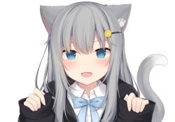 Rule 34 | 1girl, :d, amashiro natsuki, animal ears, bad id, bad pixiv id, black jacket, blue eyes, blue ribbon, blush, buttons, cat ears, cat tail, collared shirt, commentary request, dress shirt, fang, grey hair, hair between eyes, hair ornament, hairclip, hands up, jacket, long hair, long sleeves, looking at viewer, nachoneko, neck ribbon, open clothes, open jacket, open mouth, original, pinching sleeves, ribbon, shirt, simple background, sleeves past wrists, smile, solo, tail, white background, white shirt