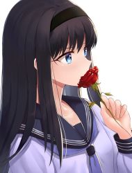Rule 34 | 1girl, absurdres, black hair, black hairband, black sailor collar, blue eyes, blue neckwear, collarbone, commentary request, flower, hairband, hand up, highres, holding, holding flower, i.f.s.f, long hair, long sleeves, looking away, red flower, red rose, rose, sailor collar, school uniform, serafuku, shirt, simple background, solo, tohno akiha, tsukihime, upper body, white background, white shirt